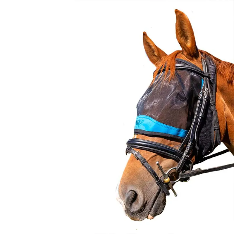 Woof Wear Ride on Fly Mask in Black and Turquoise